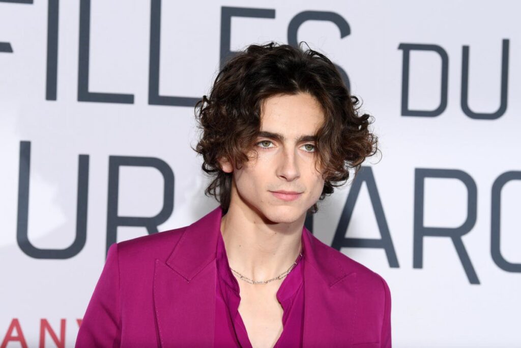 timothee chalamet - neomag.